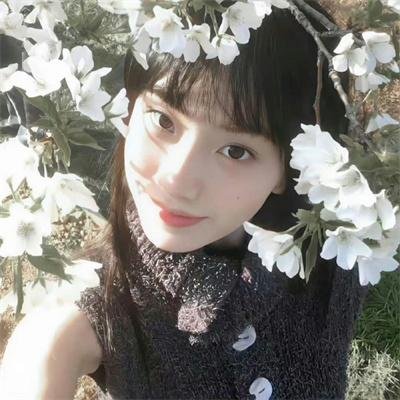 琴韵动我心